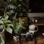 Как выбрать платформу для фриланс-дизайнера и успешно начать зарабатывать unsplash_402.jpg